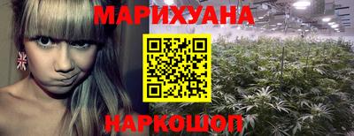 Альфа ПВП Новокубанск