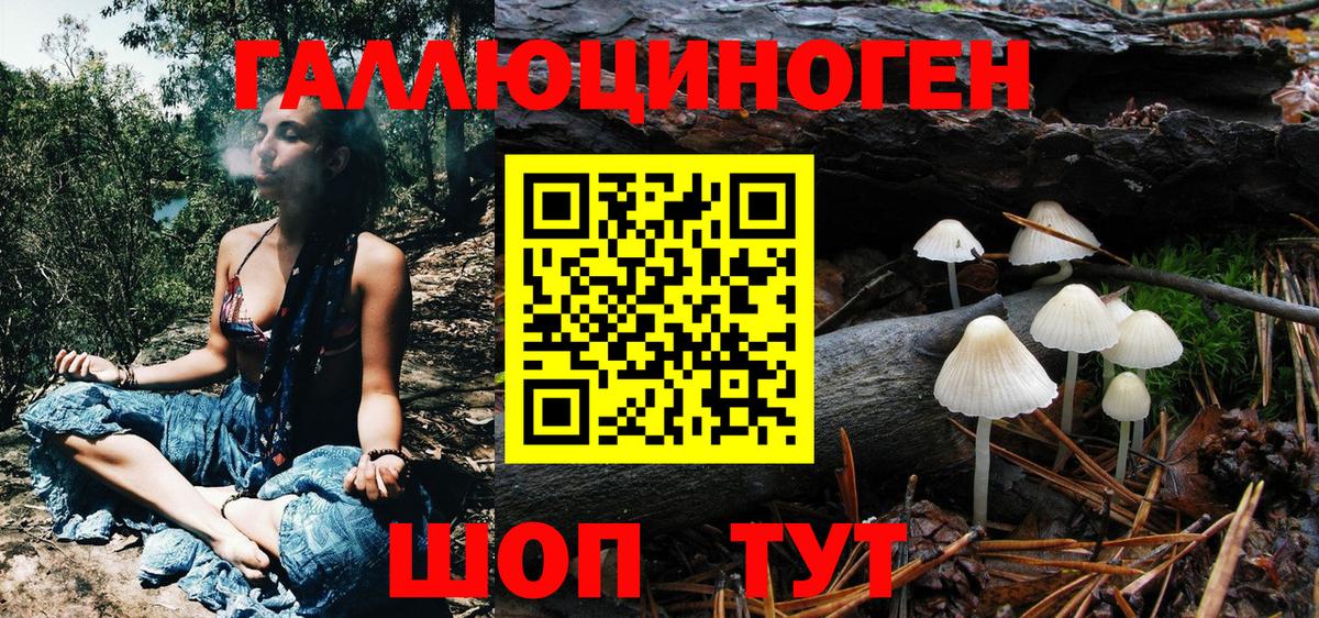Псилоцибиновые грибы Psilocybine cubensis  Вход с VPN  купить закладку  Салават 