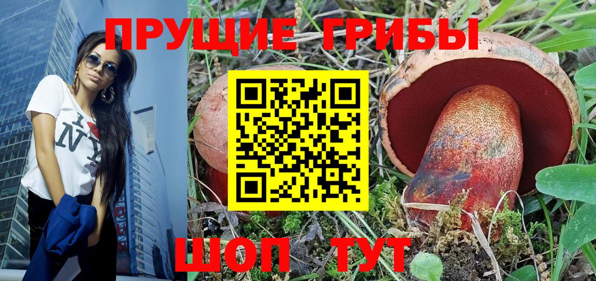 Псилоцибиновые грибы Cubensis Салават
